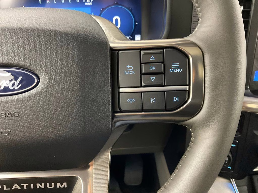 2026 Agate Black Metallic Ford F-150 Platinum 4X4 Truck