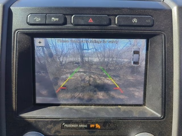 2019 Agate Black Metallic Ford Expedition XLT 4X4 SUV