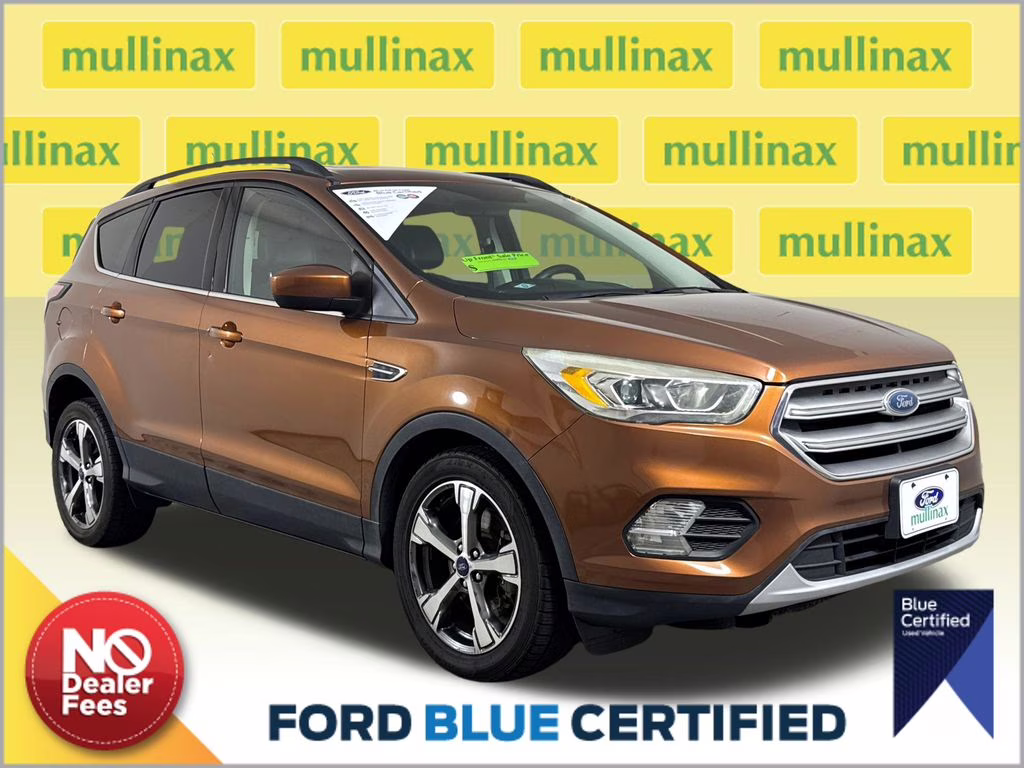 2017 Canyon Ridge Metallic Ford Escape SE FWD SUV