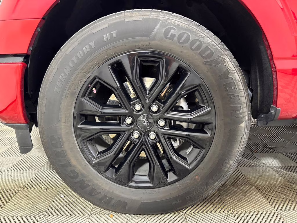 2024 Rapid Red Metallic Tinted Clearcoat Ford F-150 XLT RWD Truck