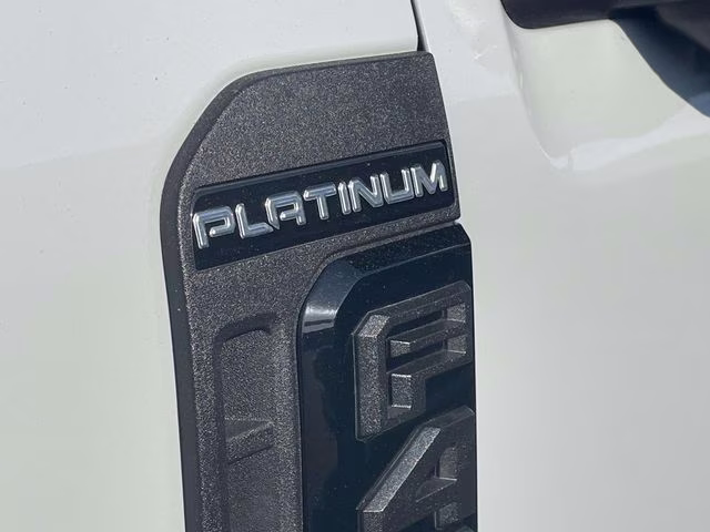 2025 Avalanche Ford Super Duty F-450 DRW Platinum 4X4 Truck