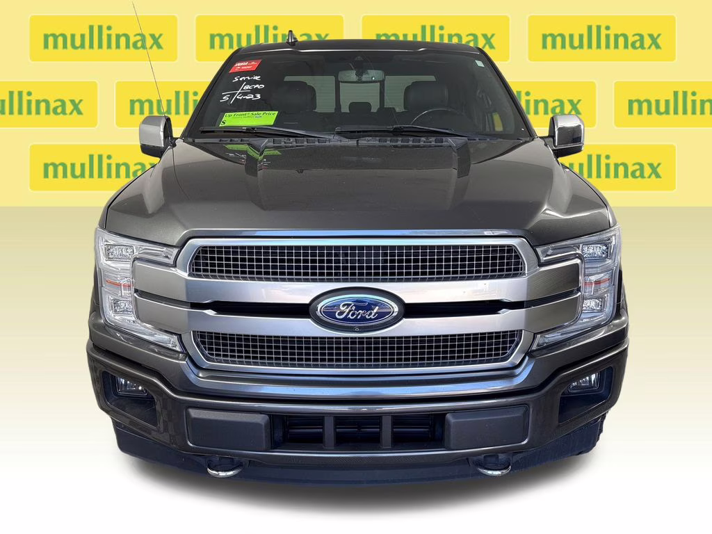 2019 Magnetic Ford F-150 Platinum 4X4 Truck