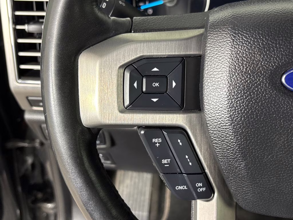 2019 Magnetic Ford F-150 Platinum 4X4 Truck