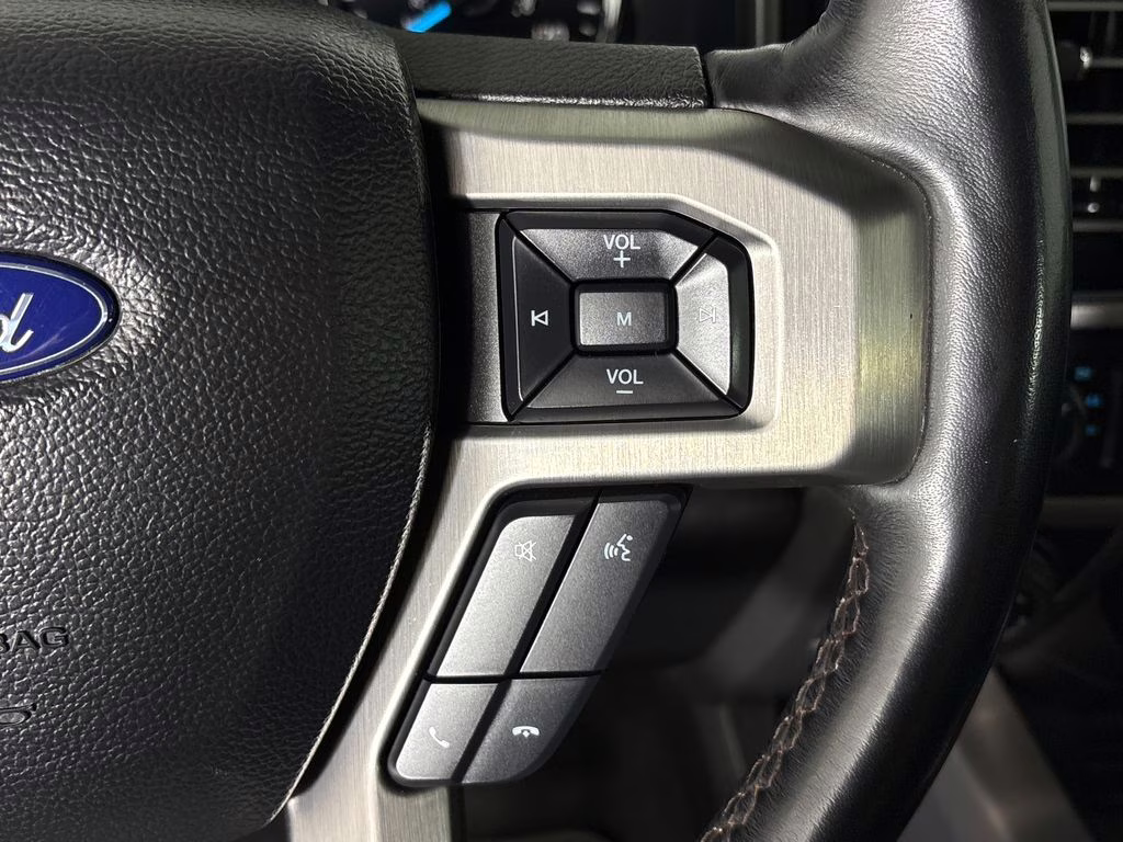 2019 Magnetic Ford F-150 Platinum 4X4 Truck