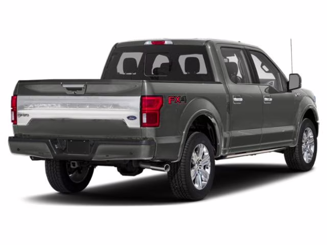 2019 Magnetic Ford F-150 Platinum 4X4 Truck