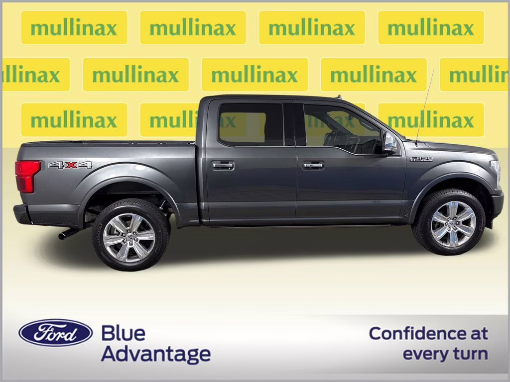 2019 Magnetic Ford F-150 Platinum 4X4 Truck