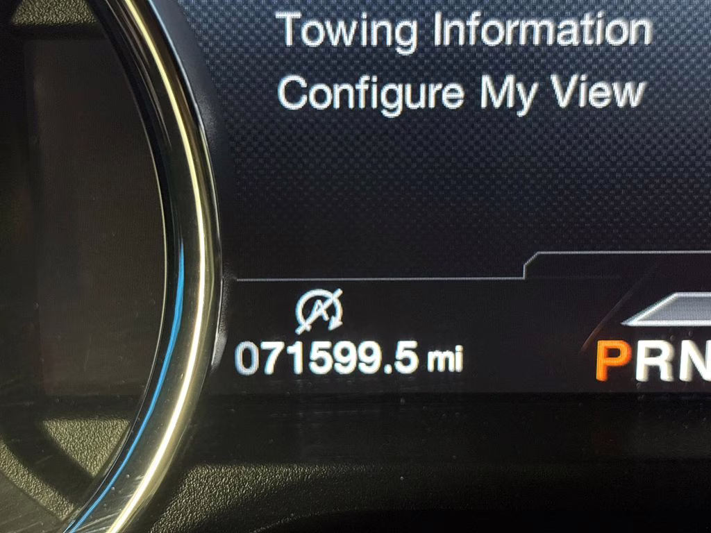 2019 Magnetic Ford F-150 Platinum 4X4 Truck