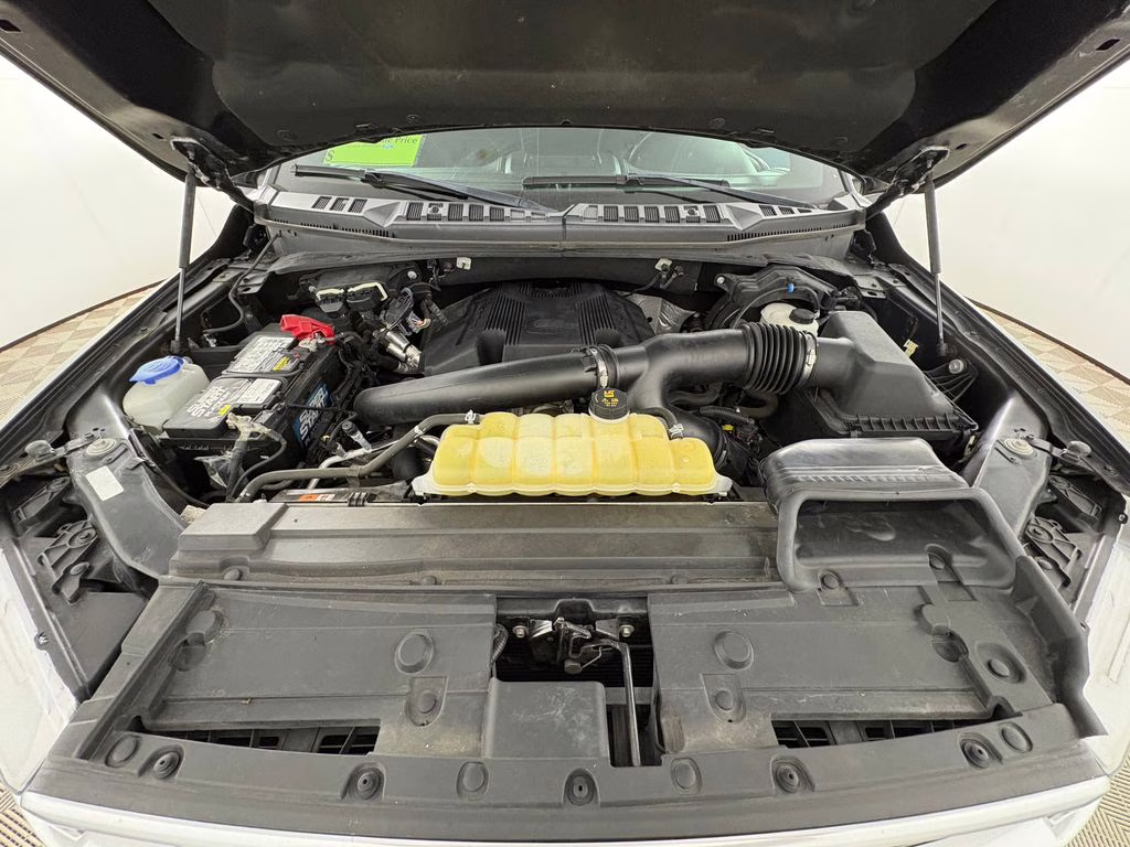 2019 Magnetic Ford F-150 Platinum 4X4 Truck