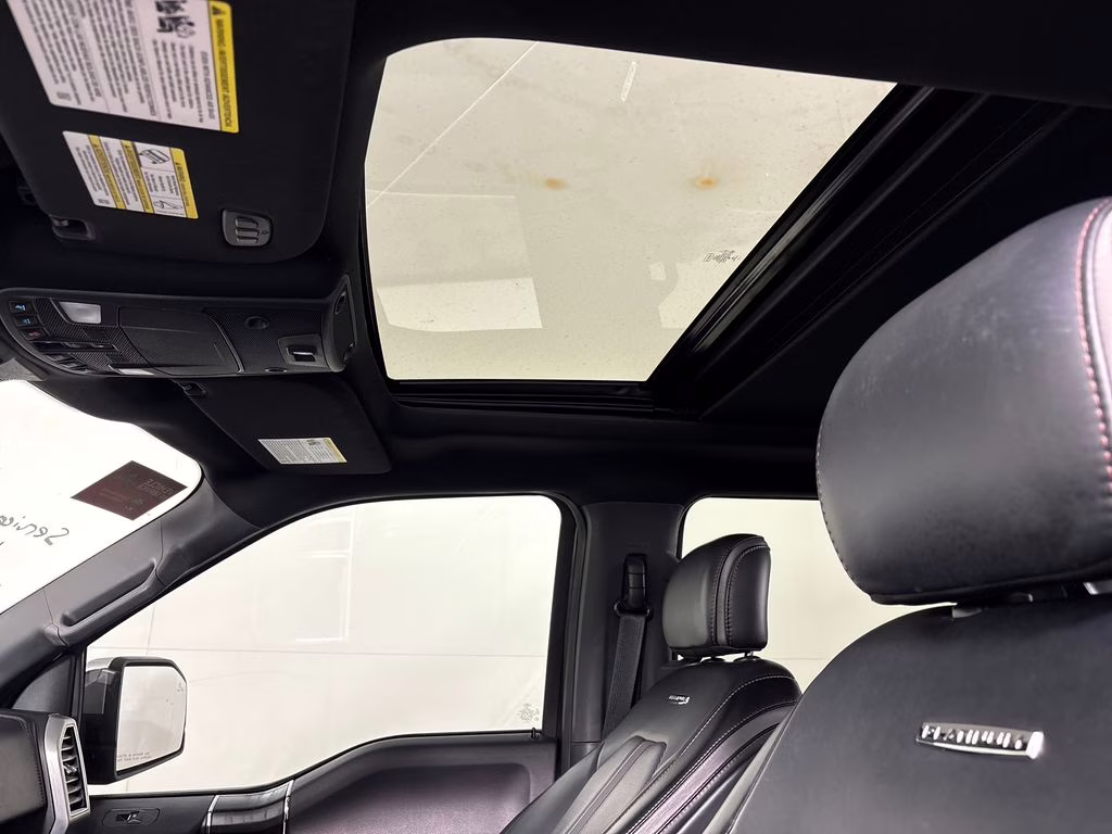 2019 Magnetic Ford F-150 Platinum 4X4 Truck