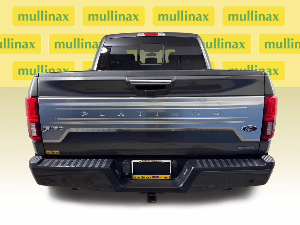 2019 Magnetic Ford F-150 Platinum 4X4 Truck