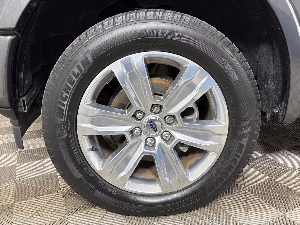 2019 Magnetic Ford F-150 Platinum 4X4 Truck