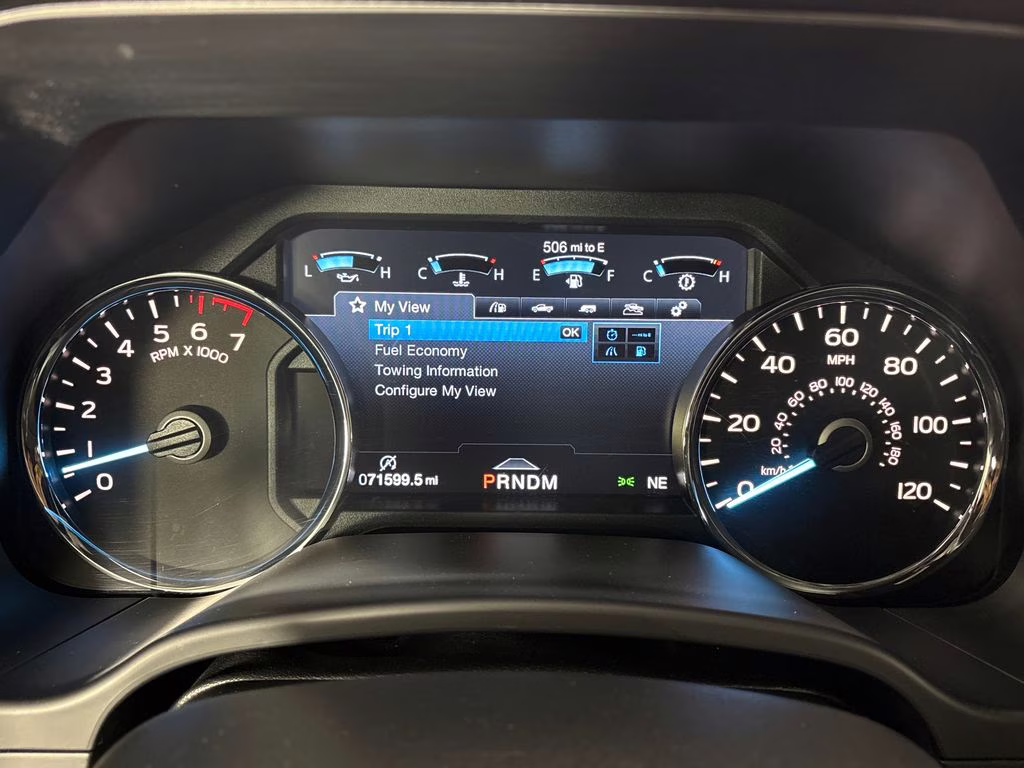 2019 Magnetic Ford F-150 Platinum 4X4 Truck
