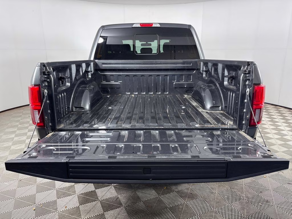 2019 Magnetic Ford F-150 Platinum 4X4 Truck