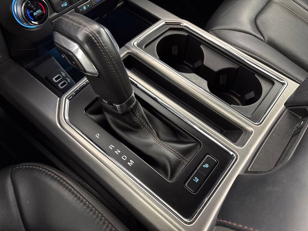 2019 Magnetic Ford F-150 Platinum 4X4 Truck