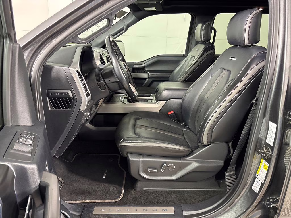 2019 Magnetic Ford F-150 Platinum 4X4 Truck