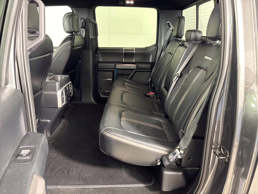 2019 Magnetic Ford F-150 Platinum 4X4 Truck