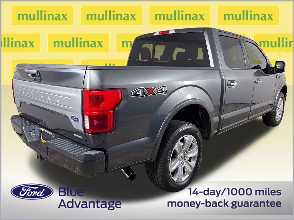 2019 Magnetic Ford F-150 Platinum 4X4 Truck