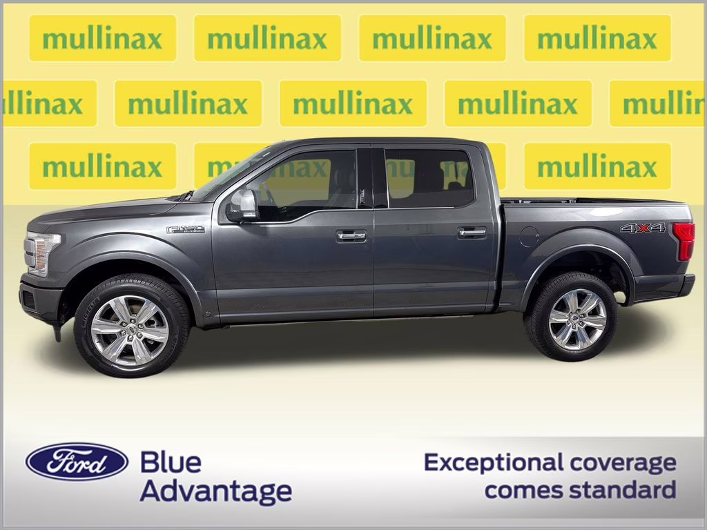 2019 Magnetic Ford F-150 Platinum 4X4 Truck