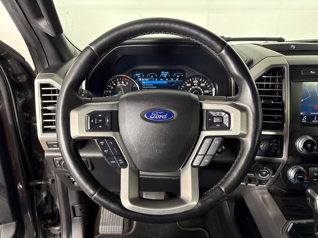 2019 Magnetic Ford F-150 Platinum 4X4 Truck