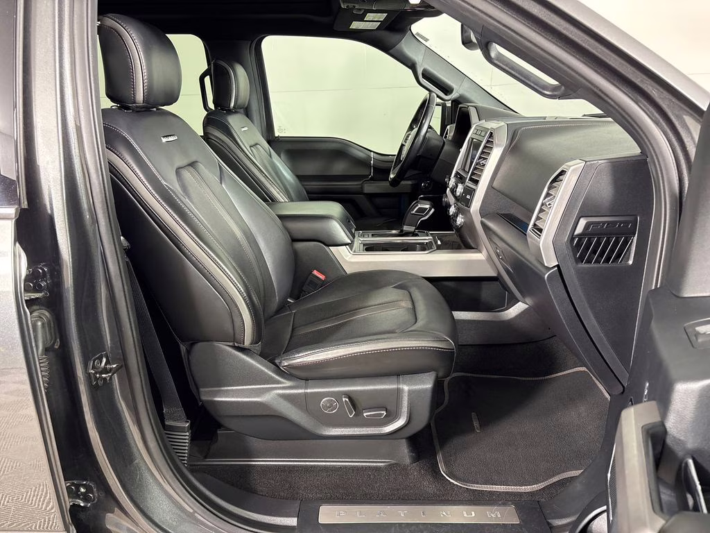 2019 Magnetic Ford F-150 Platinum 4X4 Truck