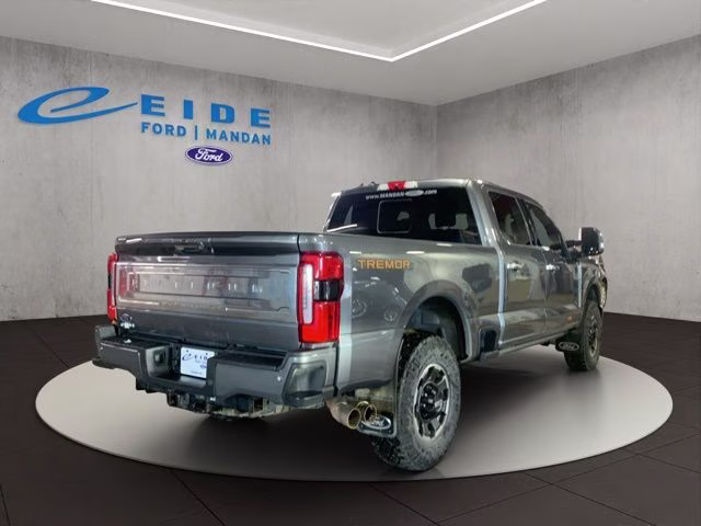 2023 Carbonized Gray Metallic Ford Super Duty F-250 SRW Platinum 4X4 Truck