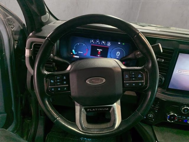 2023 Carbonized Gray Metallic Ford Super Duty F-250 SRW Platinum 4X4 Truck