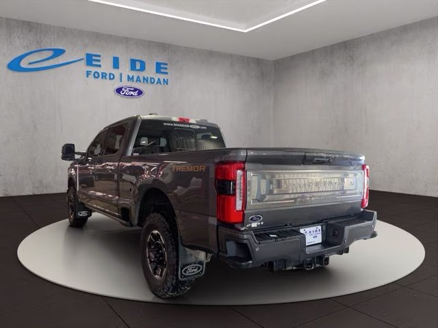 2023 Carbonized Gray Metallic Ford Super Duty F-250 SRW Platinum 4X4 Truck