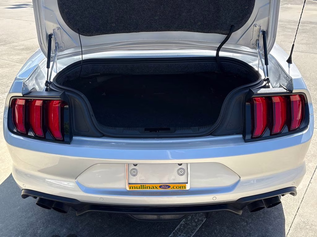 2019 Ingot Silver Ford Mustang GT Premium RWD Convertible