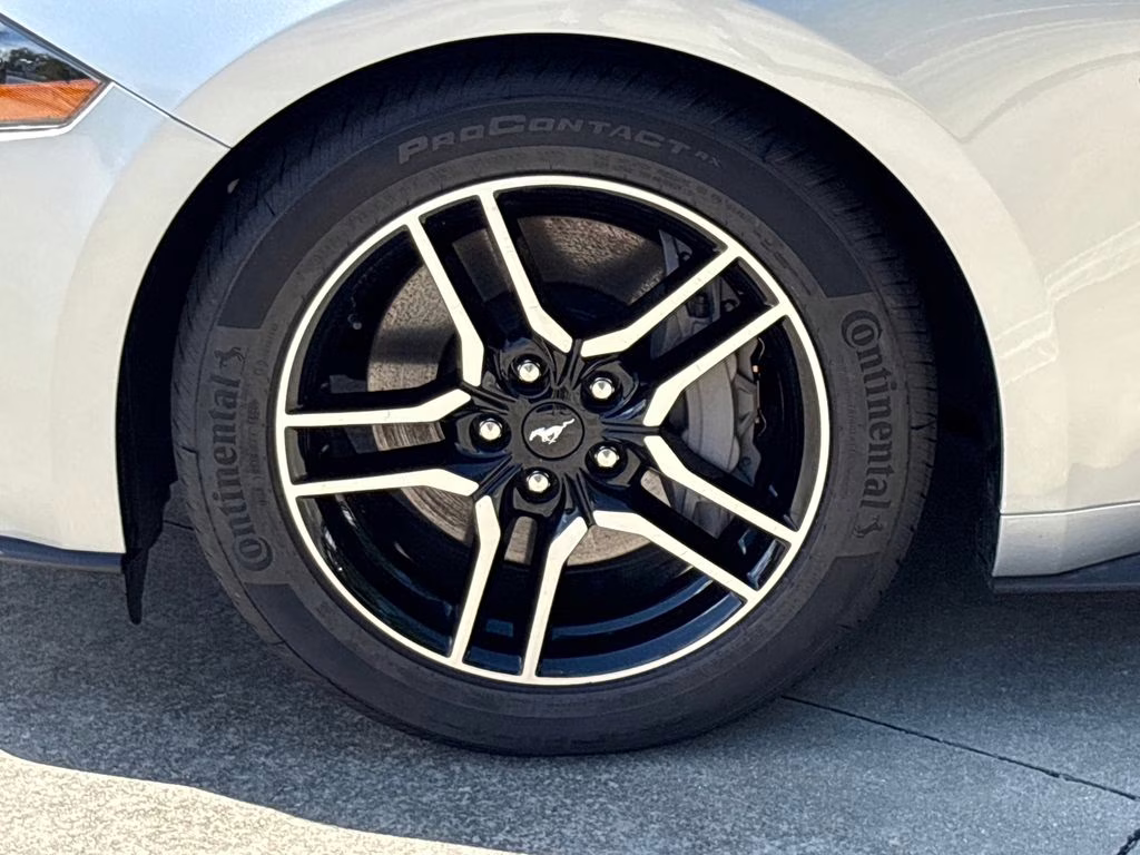 2019 Ingot Silver Ford Mustang GT Premium RWD Convertible