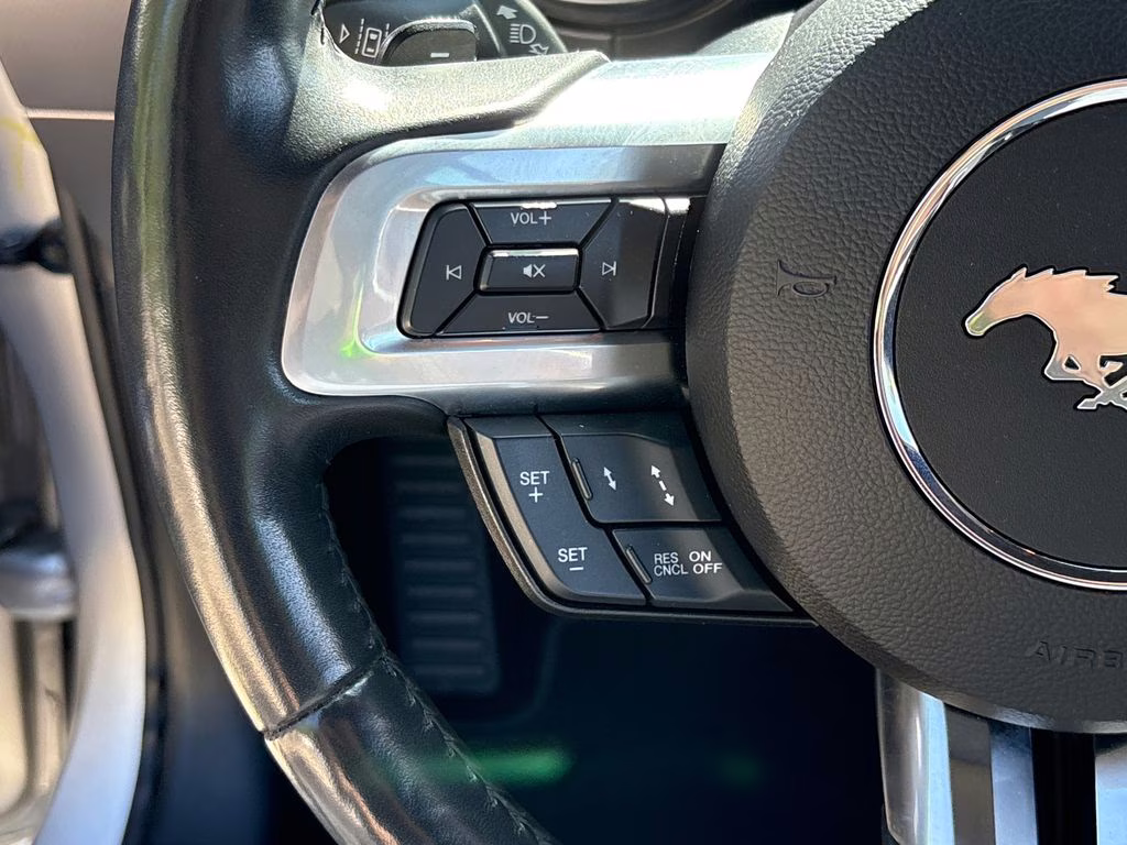 2019 Ingot Silver Ford Mustang GT Premium RWD Convertible