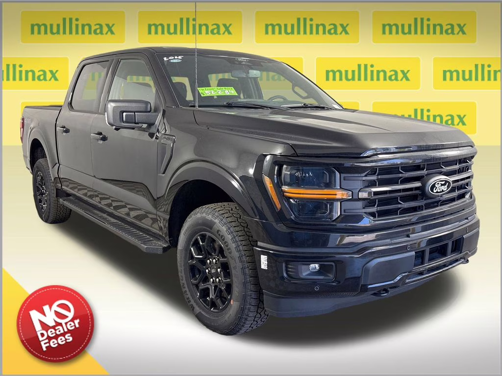 2025 Agate Black Metallic Ford F-150 XLT 4X4 Truck