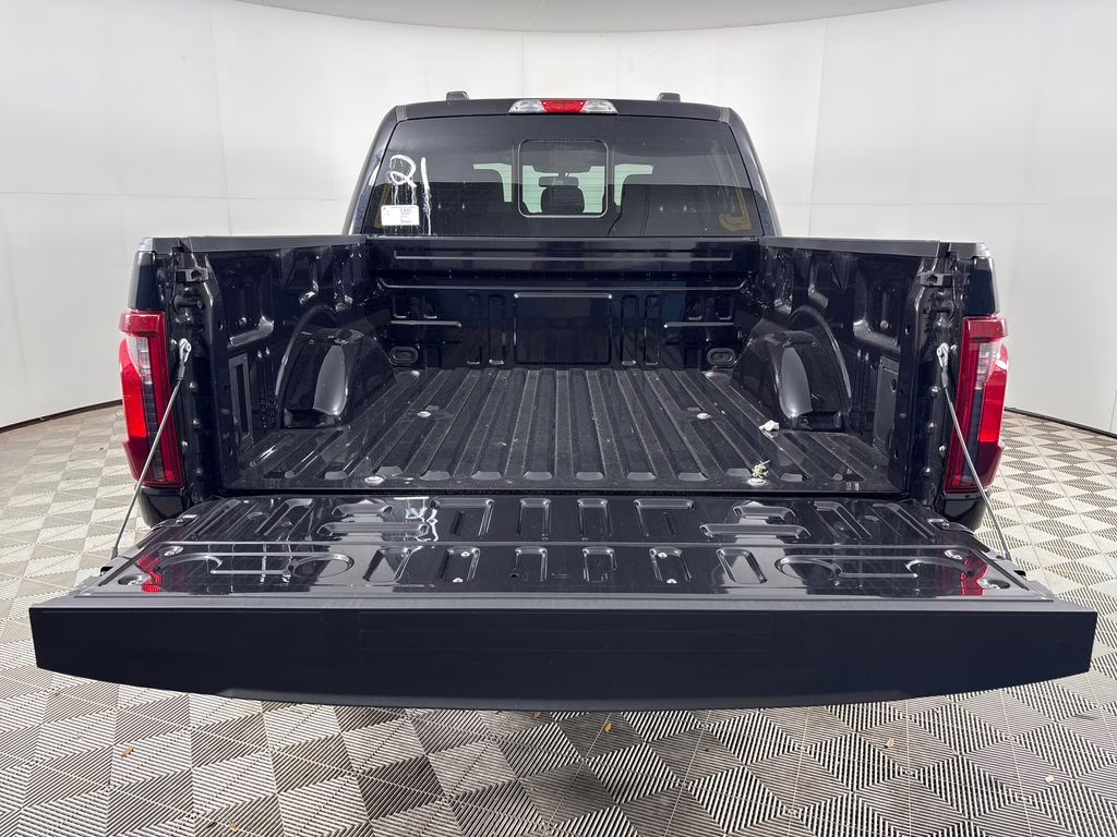 2025 Agate Black Metallic Ford F-150 XLT 4X4 Truck