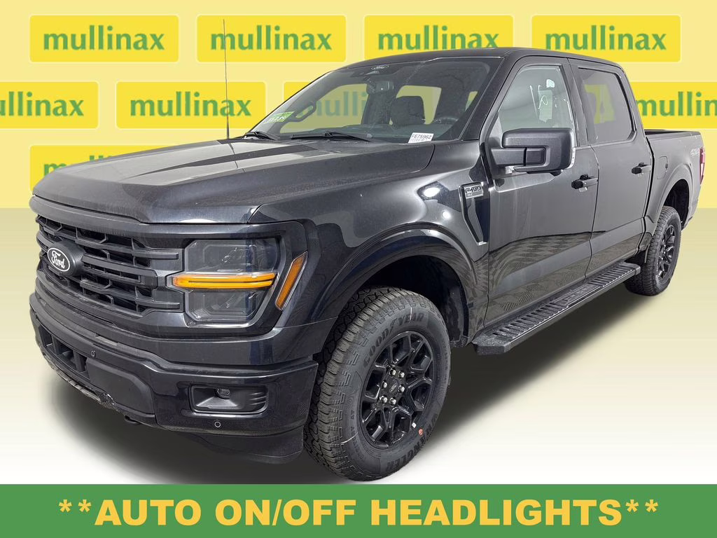 2025 Agate Black Metallic Ford F-150 XLT 4X4 Truck