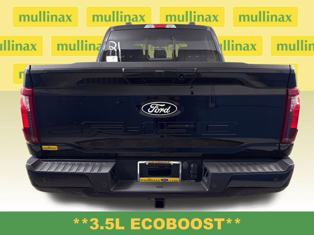2025 Agate Black Metallic Ford F-150 XLT 4X4 Truck
