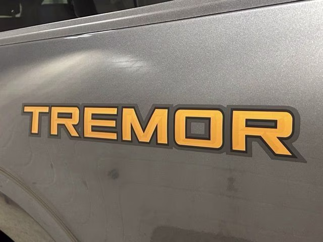 2026 Carbonized Gray Metallic Ford F-150 Tremor 4X4 Truck