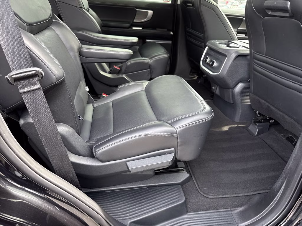 2025 Agate Black Metallic Ford Expedition Platinum 4X4 SUV