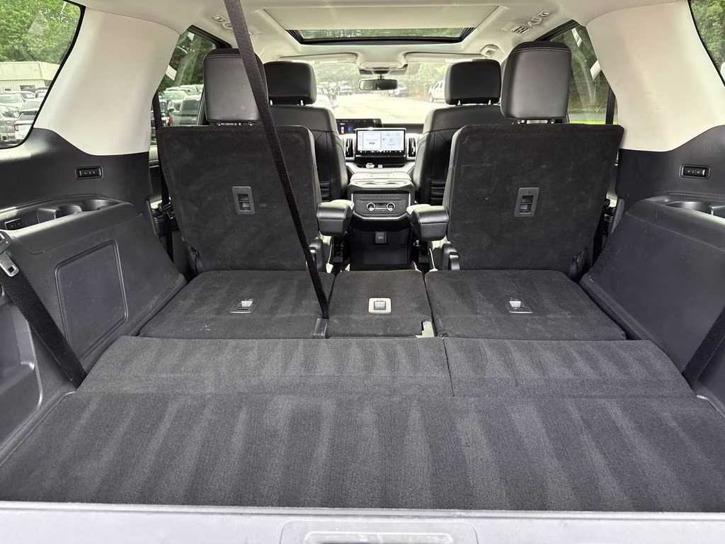 2025 Agate Black Metallic Ford Expedition Platinum 4X4 SUV