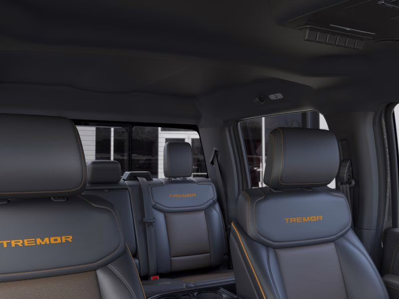 2025 Gray Metallic Ford F-150 Tremor 4X4 Truck