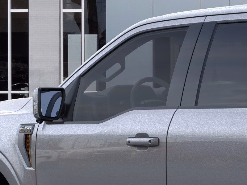 2025 Gray Metallic Ford F-150 Tremor 4X4 Truck