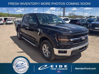 2024 Agate Black Metallic Ford F-150 XLT 4X4 Truck