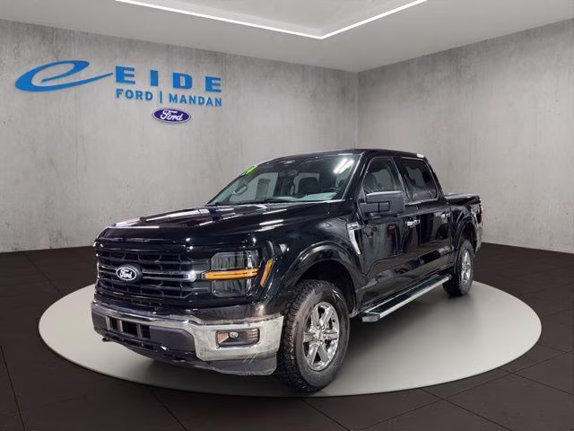 2024 Agate Black Metallic Ford F-150 XLT 4X4 Truck