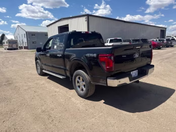 2024 Agate Black Metallic Ford F-150 XLT 4X4 Truck
