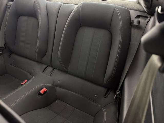 2020 Magnetic Ford Mustang EcoBoost RWD Coupe