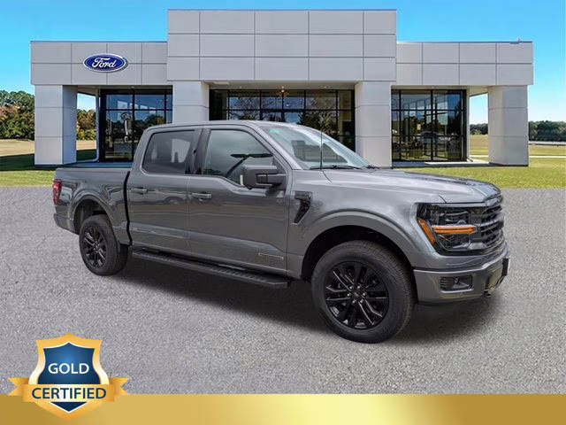2025 Gray Metallic Ford F-150 XLT 4X4 Truck