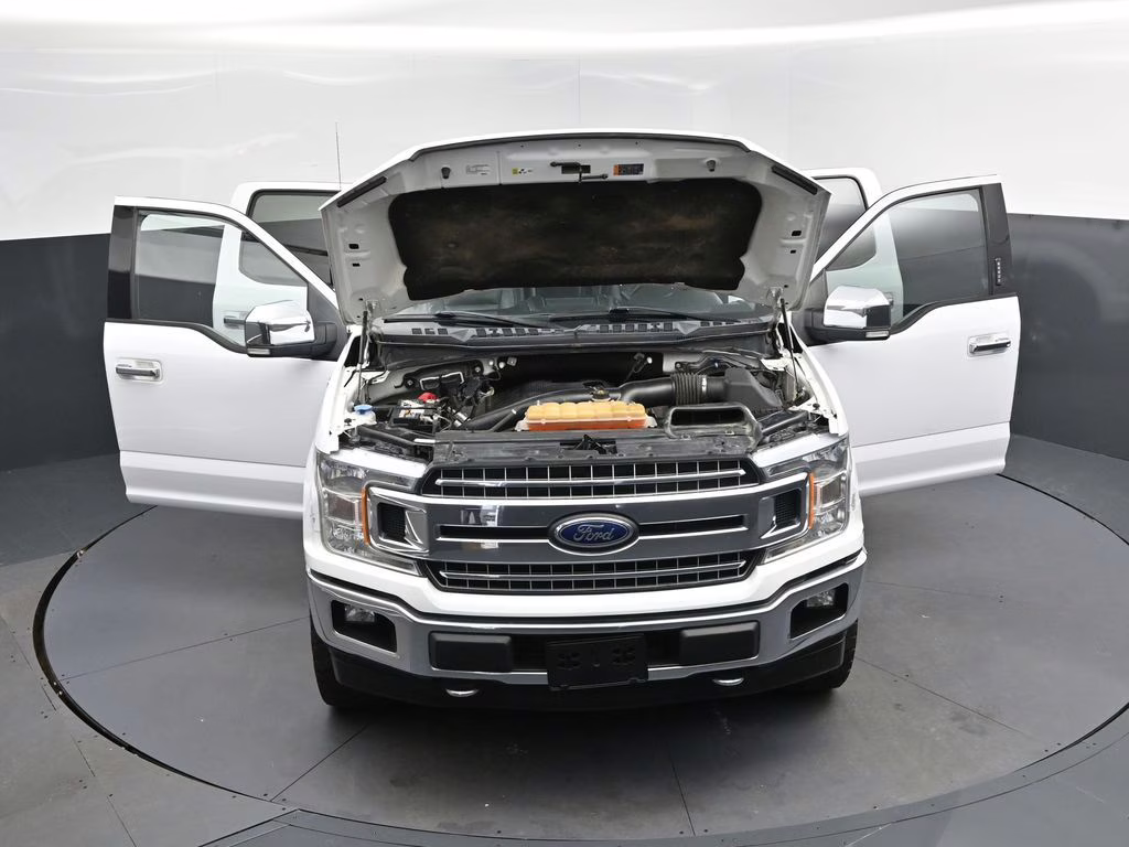 2019 Oxford White Ford F-150 XLT 4X4 Truck