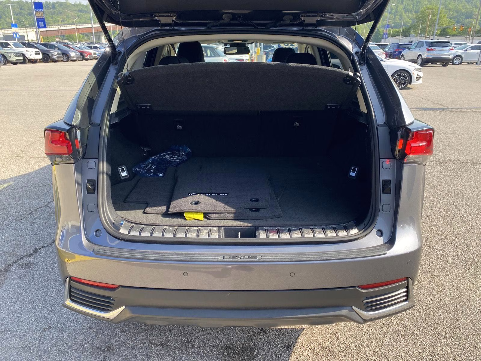 2020 Nebula Gray Pearl Lexus NX NX 300h AWD SUV