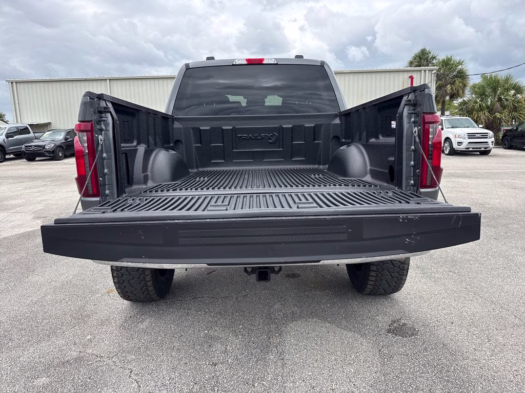 2025 Gray Ford F-150 XLT 4X4 Truck