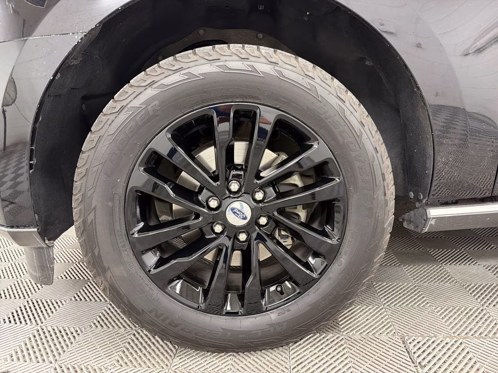 2019 Agate Black Metallic Ford Expedition Limited RWD SUV