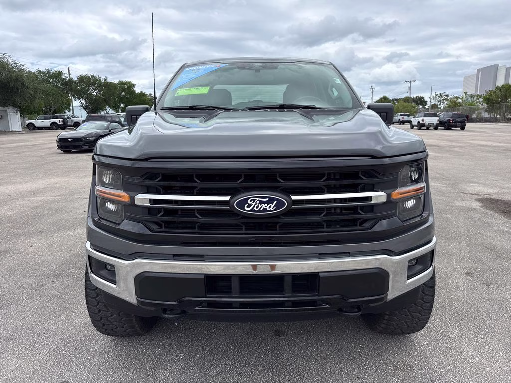 2025 Gray Ford F-150 XLT 4X4 Truck