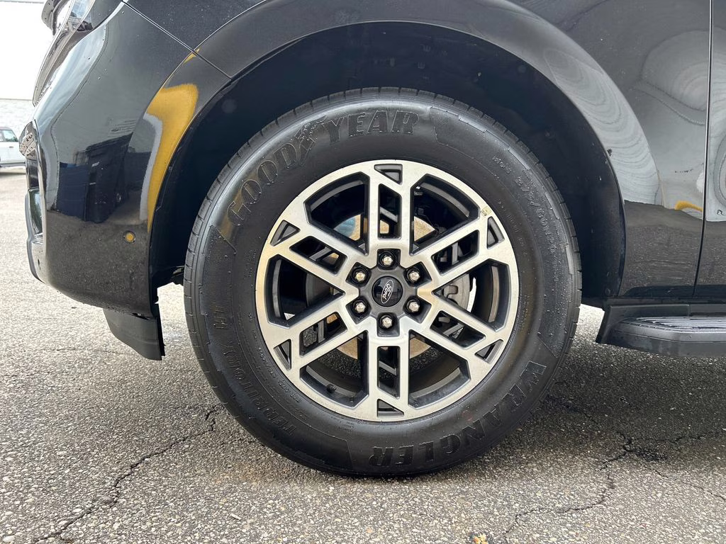 2025 Agate Black Metallic Ford Expedition Active RWD SUV